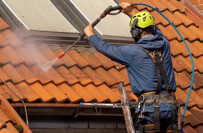 Démoussage et hydrofuge de toiture à Maison-Roland